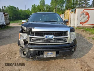 2009 Ford F-150 XL with VIN 1FTPW14V29FB29022, listed as a Copart auction lot 59518745 with 225,701 mi miles and Salvage title. Bid and sale history available at DreamBid. Image 5.