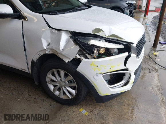 2017 Kia Sorento LX with VIN 5XYPGDA34HG283261, listed as a IAAI auction lot 42096509 with 126,123 mi miles and . Bid and sale history available at DreamBid. Image 6.