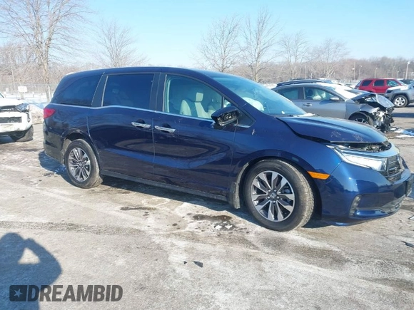 2024 Honda Odyssey EX-L with VIN 5FNRL6H60RB061017, listed as a IAAI auction lot 41399491 with 6,921 mi miles and . Bid and sale history available at DreamBid. Image 1.