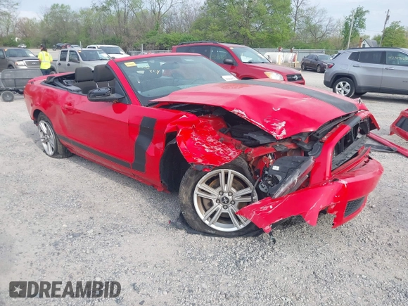 2014 Ford Mustang V6 with VIN 1ZVBP8EM3E5208282, listed as a IAAI auction lot 42104971 with Not Provided miles. Bid and sale history available at carsss.com. Image 1.