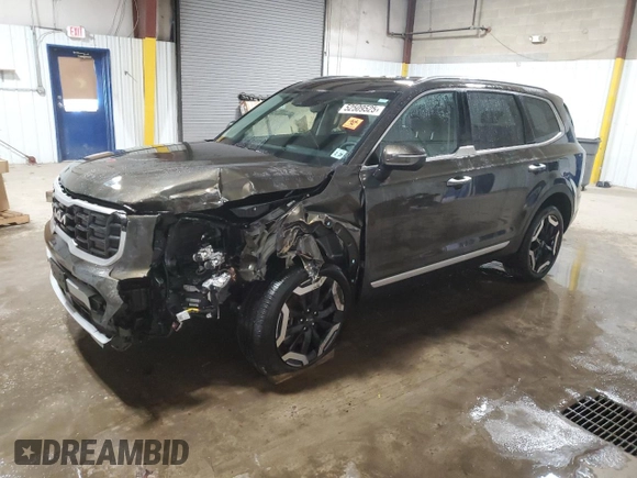 2024 Kia Telluride S с VIN 5XYP6DGC7RG472644, выставлен на аукционе Copart как лот 52509525 с пробегом Не указан миль и Списание • Salvage title. История ставок и продаж доступна на DreamBid. Изображение 1.