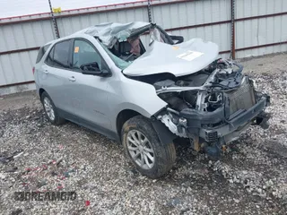 2019 Chevrolet Equinox LS with VIN 2GNAXSEV5K6233485, listed as a IAAI auction lot 41846208 with Not Provided miles and . Bid and sale history available at DreamBid. Image 1.