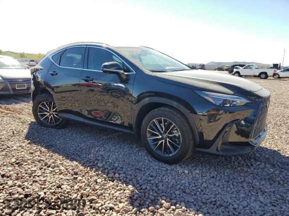2025 Lexus NX with VIN 2T2GGCEZ9SC062603, listed as a Copart auction lot 77152434 with 6,945 mi miles and Salvage Title. Bid and sale history available at carsss.com. Image 4.