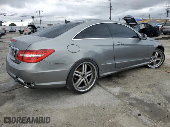 2010 Mercedes-Benz E-Class E 550 with VIN WDDKJ7CB5AF046696, listed as a Copart auction lot 49076015 with 0 mi miles and Salvage Title. Bid and sale history available at carsss.com. Image 3.
