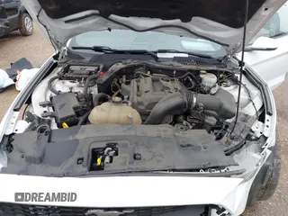 2019 Ford Mustang EcoBoost with VIN 1FA6P8TH6K5201919, listed as a IAAI auction lot 41556322 with 100,568 mi miles and . Bid and sale history available at carsss.com. Image 10.