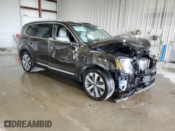 2022 Kia Telluride S with VIN 5XYP6DHC3NG248392, listed as a Copart auction lot 60979775 with Not provided miles and Salvage title. Bid and sale history available at DreamBid. Image 4.