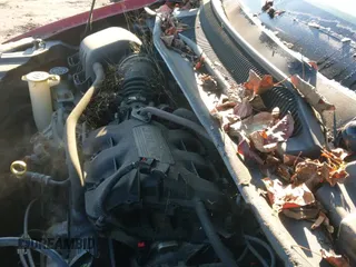 2010 Dodge Grand Caravan SXT z VIN 2D4RN5D14AR101822, wystawiony jako IAAI lot #43570475 z przebiegiem 201 131 mil mil oraz . Historia ofert i sprzedaży dostępna na DreamBid. Obrazek 12.