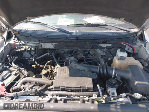 2010 Ford F-150 XL with VIN 1FTEX1CW9AFD31245, listed as a IAAI auction lot 42538912 with 250,921 mi miles and . Bid and sale history available at DreamBid. Image 10.