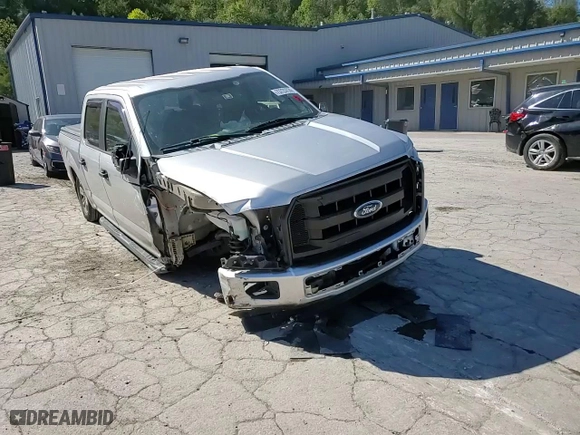2017 Ford F-150 XL with VIN 1FTEW1C86HFB15464, listed as a Copart auction lot 73723724 with 140,876 mi miles and Salvage Title. Bid and sale history available at carsss.com. Image 10.