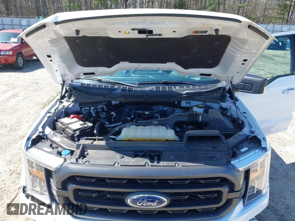 2023 Ford F-150 XL with VIN 1FTEW1EP3PFD33042, listed as a IAAI auction lot 41775430 with 23,045 mi miles. Bid and sale history available at carsss.com. Image 10.
