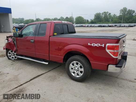 2013 Ford F-150 XL with VIN 1FTFX1EF9DFB97519, listed as a Copart auction lot 59856965 with 65,446 mi miles and Salvage title. Bid and sale history available at DreamBid. Image 2.