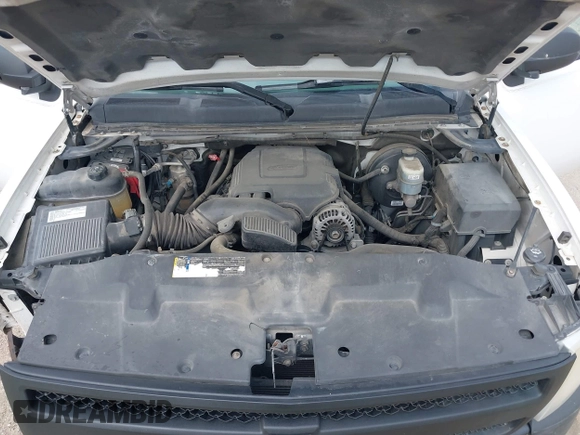 2009 Chevrolet Silverado 1500 Work Truck with VIN 1GCEK19069Z173281, listed as a IAAI auction lot 41786113 with 157,498 mi miles and . Bid and sale history available at DreamBid. Image 10.
