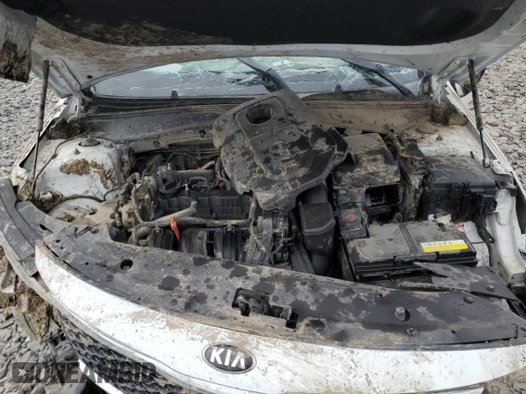 2016 Kia Optima EX with VIN 5XXGU4L39GG091553, listed as a Copart auction lot 56754325 with Not provided miles and Salvage title. Bid and sale history available at DreamBid. Image 11.