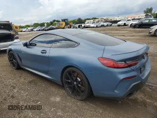 2019 BMW 8 Series M850i xDrive with VIN WBABC4C55KBU96951, listed as a Copart auction lot 53128353 with 30,695 mi miles. Bid and sale history available at carsss.com. Image 2.