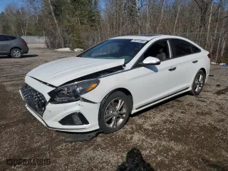 2019 Hyundai Sonata Sport with VIN 5NPE34AF3KH747637, listed as a Copart auction lot 48707865 with 189,257 mi miles and Salvage Title. Bid and sale history available at carsss.com. Image 1.