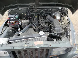 1995 Jeep Wrangler S with VIN 1J4FY19P5SP309461, listed as a Copart auction lot 44160095 with 264,727 mi miles and Salvage Title. Bid and sale history available at carsss.com. Image 12.