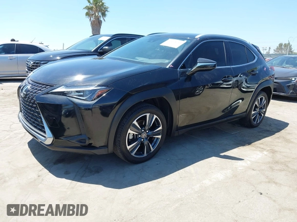 2022 Lexus UX 200 with VIN JTHX3JBH8N2047074, listed as a IAAI auction lot 42665051 with 27,249 mi miles and . Bid and sale history available at DreamBid. Image 17.