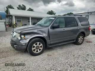 2010 Ford Expedition SSV with VIN 1FMJU1G52AEB07809, listed as a Copart auction lot 58711865 with 291,684 mi miles and Salvage title. Bid and sale history available at DreamBid. Image 1.