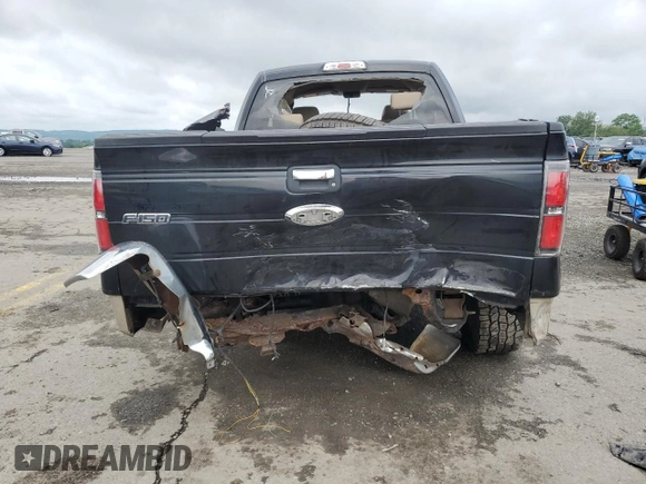 2009 Ford F-150 STX with VIN 1FTRX14819KB81135, listed as a Copart auction lot 61414765 with Not provided miles and Salvage title. Bid and sale history available at DreamBid. Image 6.