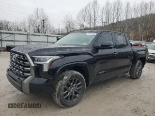 2022 Toyota Tundra Platinum with VIN 5TFNA5DB8NX026467, listed as a Copart auction lot 85454294 with 43,998 mi miles and Salvage title. Bid and sale history available at DreamBid. Image 1.
