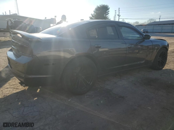 2014 Dodge Charger RT Plus with VIN 2C3CDXCT5EH339036, listed as a Copart auction lot 87204954 with 172,064 mi miles and Salvage Title. Bid and sale history available at carsss.com. Image 3.