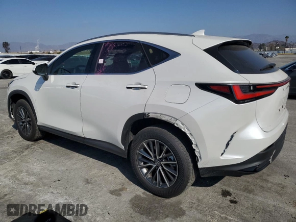 2024 Lexus NX 250 with VIN JTJADCAZXR5016226, listed as a Copart auction lot 43197805 with 17,640 mi miles and Salvage title. Bid and sale history available at DreamBid. Image 2.