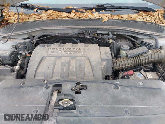 2008 Honda Pilot SE with VIN 5FNYF28328B001899, listed as a IAAI auction lot 42071365 with 188,894 mi miles and . Bid and sale history available at DreamBid. Image 10.