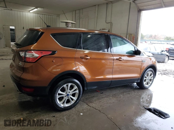 2017 Ford Escape SE with VIN 1FMCU0GD7HUE53039, listed as a Copart auction lot 51157025 with 89,216 mi miles and Salvage Title. Bid and sale history available at DreamBid. Image 3.