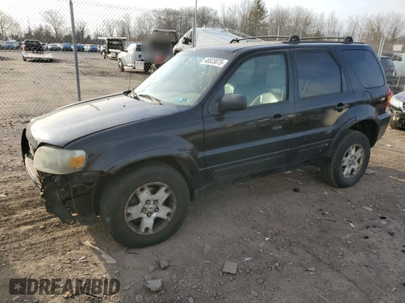 2006 Ford Escape Limited with VIN 1FMYU94196KC82484, listed as a Copart auction lot 48523075 with 208,093 mi miles and Salvage title. Bid and sale history available at DreamBid. Image 1.