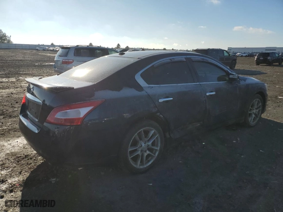 2009 Nissan Maxima 3.5 S with VIN 1N4AA51E09C859907, listed as a Copart auction lot 88718975 with 0 mi miles and Salvage Title. Bid and sale history available at carsss.com. Image 3.