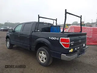 2010 Ford F-150 XL with VIN 1FTEW1E84AFA54957, listed as a IAAI auction lot 42456388 with 197,370 mi miles and . Bid and sale history available at DreamBid. Image 19.