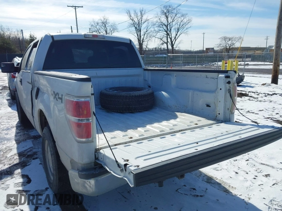 2014 Ford F-150 XL with VIN 1FTFW1EF5EFA45595, listed as a IAAI auction lot 41535410 with 124,208 mi miles. Bid and sale history available at carsss.com. Image 3.
