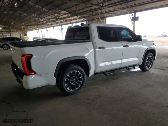 2023 Toyota Tundra 4WD Limited with VIN 5TFJA5DB2PX104372, listed as a Copart auction lot 45232005 with 19,989 mi miles and Salvage Title. Bid and sale history available at carsss.com. Image 3.