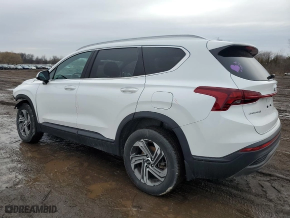 2023 Hyundai Santa Fe SEL with VIN 5NMS2DAJ2PH517635, listed as a Copart auction lot 47371765 with 29,129 mi miles and Salvage Title. Bid and sale history available at carsss.com. Image 2.