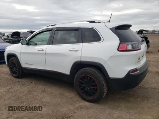 2019 Jeep Cherokee Latitude with VIN 1C4PJMCB4KD419299, listed as a Copart auction lot 55913265 with 80,058 mi miles and Salvage title. Bid and sale history available at DreamBid. Image 2.
