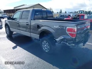 2011 Ford F-150 XL with VIN 1FTFW1EF1BFB58262, listed as a IAAI auction lot 41788963 with 157,328 mi miles. Bid and sale history available at carsss.com. Image 3.
