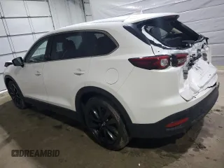 2023 Mazda CX-9 Touring Plus with VIN JM3TCBAY1P0643835, listed as a Copart auction lot 55846885 with 43,420 mi miles and Salvage title. Bid and sale history available at DreamBid. Image 2.