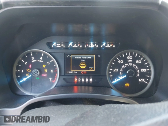 2019 Ford F-150 XL with VIN 1FTEW1C47KKE22590, listed as a IAAI auction lot 42418181 with 123,197 mi miles and . Bid and sale history available at DreamBid. Image 7.