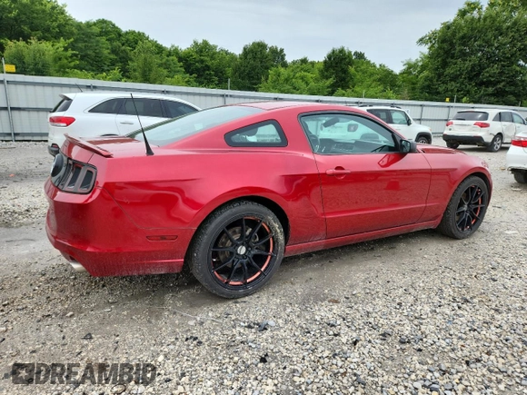 2013 Ford Mustang V6 с VIN 1ZVBP8AM2D5267439, выставлен на аукционе Copart как лот 61307575 с пробегом 109 401 миль миль и Списание • Salvage title. История ставок и продаж доступна на DreamBid. Изображение 3.