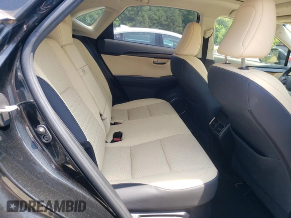 2019 Lexus NX 300h with VIN JTJBJRBZ3K2104833, listed as a Copart auction lot 60266395 with 109,030 mi miles and Salvage title. Bid and sale history available at DreamBid. Image 11.