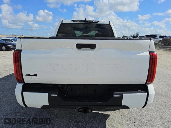 2023 Toyota Tundra SR5 with VIN 5TFLA5DB9PX101557, listed as a Copart auction lot 60339305 with 66,639 mi miles and Clean title. Bid and sale history available at DreamBid. Image 6.