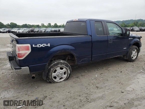 2011 Ford F-150 XL with VIN 1FTFX1ET2BFC30346, listed as a Copart auction lot 59801175 with 215,924 mi miles and Salvage title. Bid and sale history available at DreamBid. Image 3.