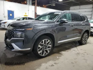 2023 Hyundai Santa Fe Calligraphy with VIN 5NMS5DAL6PH511782, listed as a Copart auction lot 58000945 with 31,566 mi miles and Salvage title. Bid and sale history available at DreamBid. Image 1.