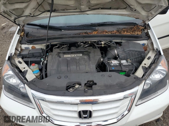2009 Honda Odyssey LX z VIN 5FNRL38259B019504, wystawiony jako Copart lot #43426255 z przebiegiem 264 606 mil mil oraz Czysty tytuł • Clean title. Historia ofert i sprzedaży dostępna na DreamBid. Obrazek 12.
