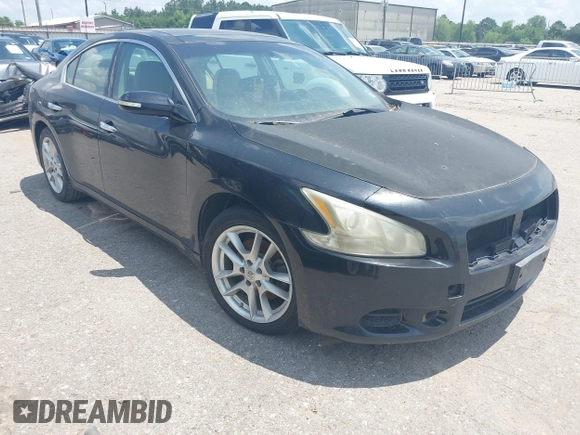 2011 Nissan Maxima SV with VIN 1N4AA5AP9BC865311, listed as a IAAI auction lot 42232838 with 244,245 mi miles and . Bid and sale history available at DreamBid. Image 1.