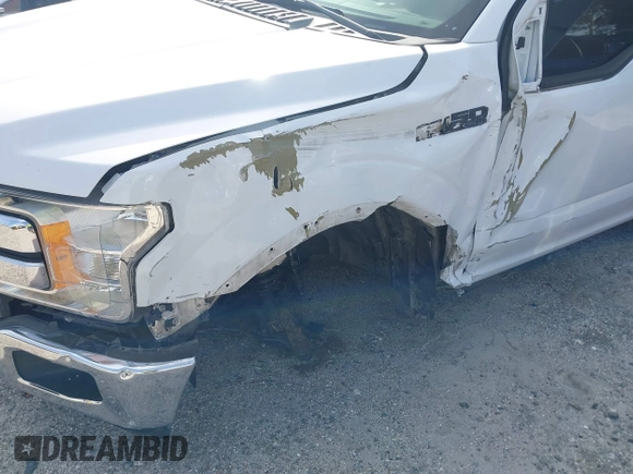 2019 Ford F-150 XL with VIN 1FTEW1E5XKKD48460, listed as a IAAI auction lot 41434707 with 98,431 mi miles. Bid and sale history available at carsss.com. Image 6.