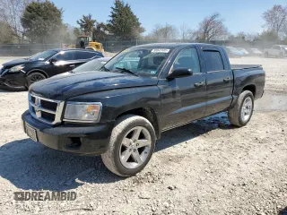 2008 Dodge Dakota Bighorn/Lonestar z VIN 1D7HE38K18S621586, wystawiony jako Copart lot #50842495 z przebiegiem 230 002 mil mil oraz Szkoda całkowita • Salvage title. Historia ofert i sprzedaży dostępna na DreamBid. Obrazek 1.