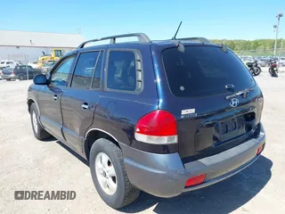 2005 Hyundai Santa Fe GLS with VIN KM8SC73E95U956010, listed as a IAAI auction lot 42134272 with 190,895 mi miles. Bid and sale history available at carsss.com. Image 6.