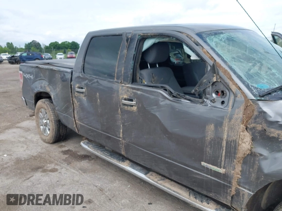 2012 Ford F-150 XL with VIN 1FTFW1ET5CFB55193, listed as a IAAI auction lot 42446598 with 132,596 mi miles and . Bid and sale history available at DreamBid. Image 6.