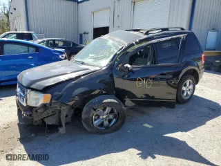 2010 Ford Escape XLT with VIN 1FMCU0D70AKA33655, listed as a Copart auction lot 49062975 with 215,822 mi miles and Non Repairable. Bid and sale history available at carsss.com. Image 1.